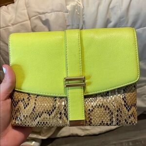 Lime Green and Tan Snakeskin Clutch
